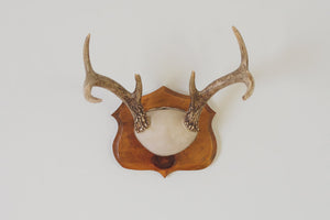 Vintage Leather Antlers