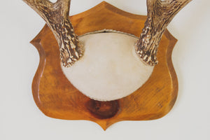 Vintage Leather Antlers