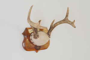 Vintage Leather Antlers