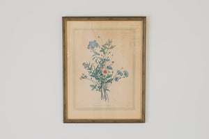 French Botanical Print