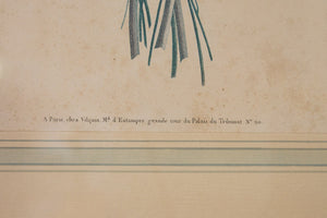 French Botanical Print