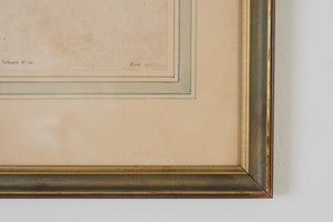 French Botanical Print
