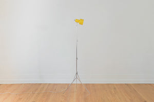 MCM Tripod Floor Lamp