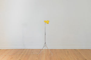 MCM Tripod Floor Lamp