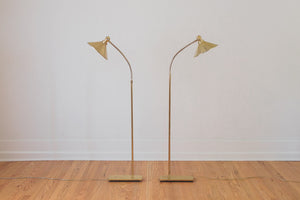 Brass Gooseneck Floor Lamp