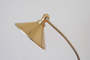 Brass Gooseneck Floor Lamp