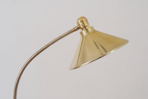Brass Gooseneck Floor Lamp
