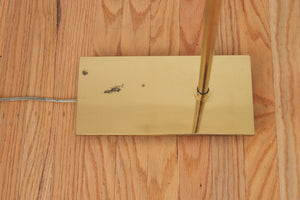 Brass Gooseneck Floor Lamp