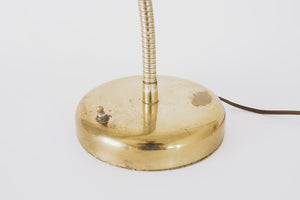 Brass Gooseneck Lamp