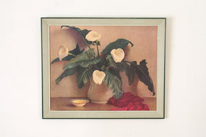 Large Calla Lily Print