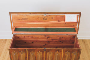MCM Lane Trunk