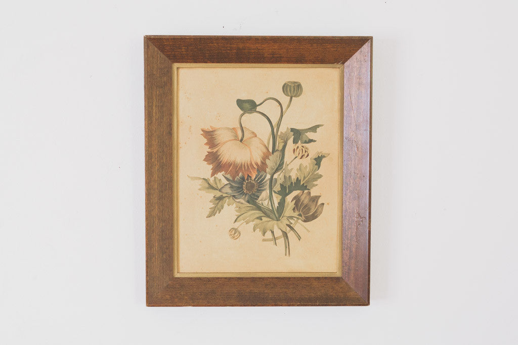 Vintage Botanical Print