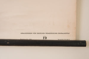 MCM German Botanical Chart