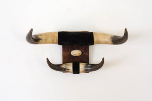 Vintage Bullhorns