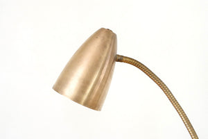 MCM Brass Floor Lamp