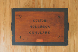 Hand Painted Wood Trunk