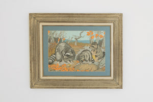 Vintage Raccoon Watercolor