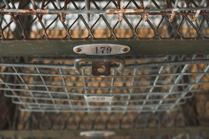 Industrial Swim Lockers