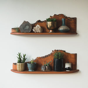Live Edge Shelf