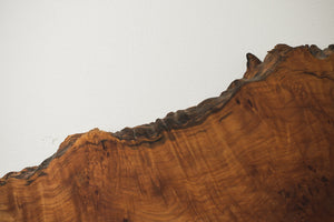 Live Edge Shelf