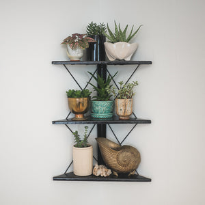 Corner Wall Shelf