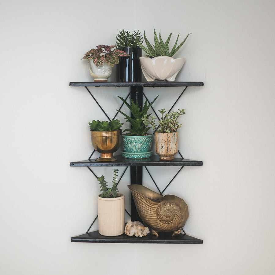Corner Wall Shelf