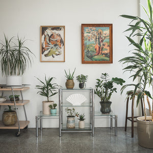 Chrome & Glass Shelf