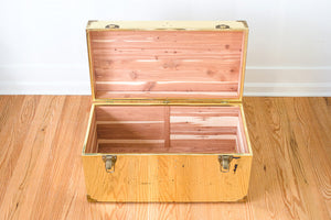 Brass Trunk Coffee Table