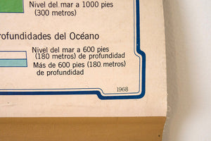 MCM Spanish World Map