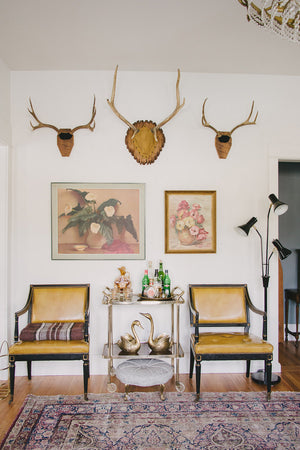 Vintage Mounted Antlers