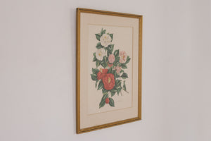 Vintage Botanical Print