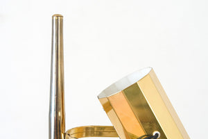 MCM Brass Floor Lamp