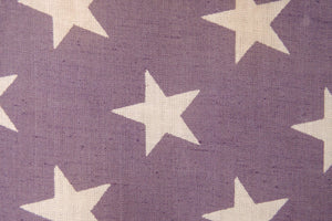 Vintage American Flag