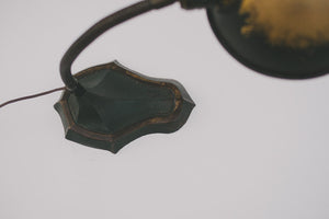 1920's Gooseneck Lamp