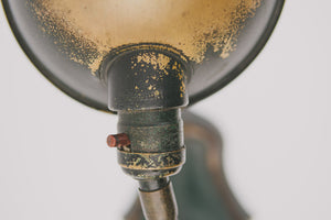 1920's Gooseneck Lamp