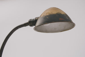 1920's Gooseneck Lamp