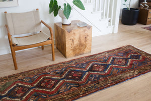 3x10 Persian Rug | SHAYA