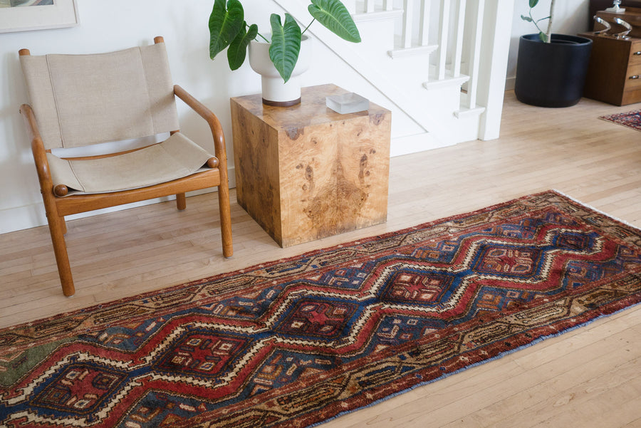 3x10 Persian Rug | SHAYA