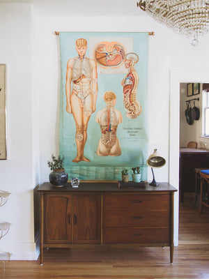 Schoolhouse Anatomy Chart