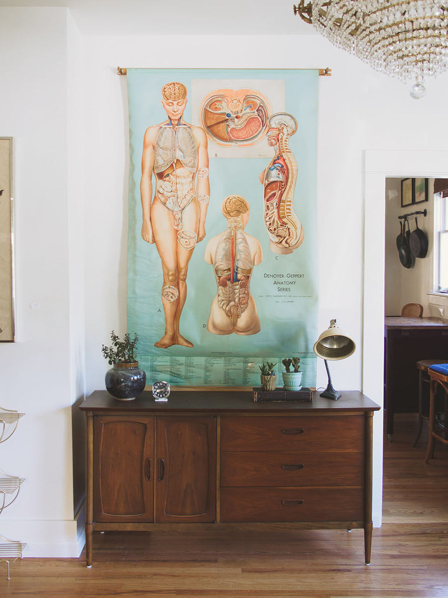 Schoolhouse Anatomy Chart