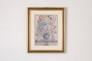 Framed Botanical Print