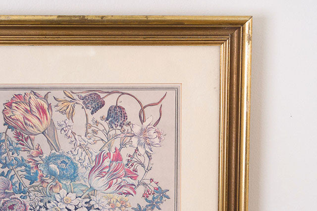 Framed Botanical Print