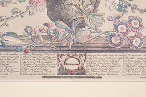Framed Botanical Print