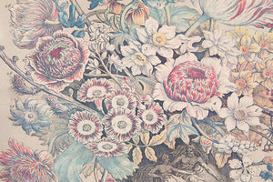 Framed Botanical Print