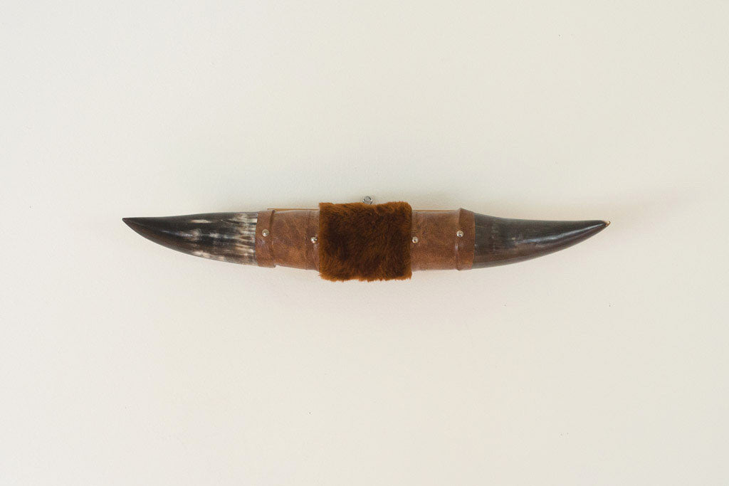 Vintage Bull Horns
