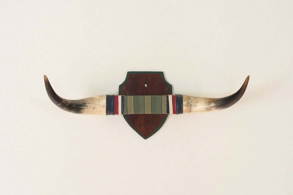 Vintage Bull Horns