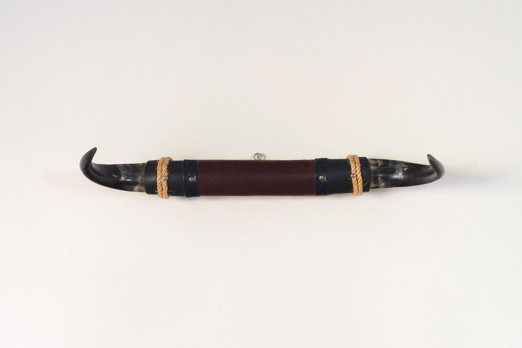 Vintage Bull Horns