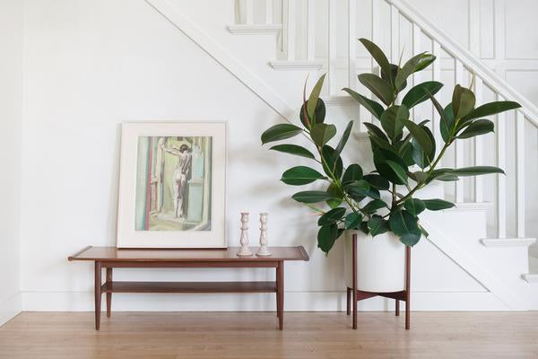 Mid Century Coffee Table